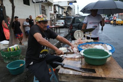 Xavier despedaza la pesca del día en su pequeña mesa. Camarones y bagres son su mercadería.