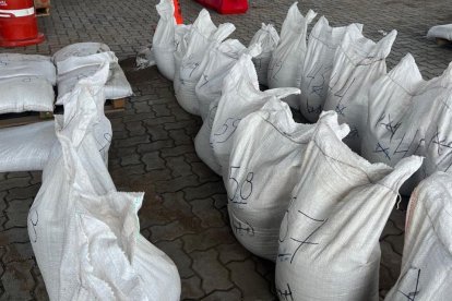 La sustancia estaba distribuida en sacos.