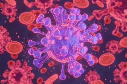 Imagen referencial. Autoridades sanitarias activaron protocolos tras confirmarse casos de virus Nipah en Bengala Occidental, India.