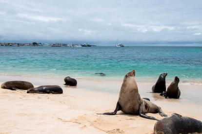 Lluvias de alta intensidad se prevén en Galápagos.