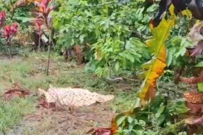 La víctima tenía huellas de violencia en su cuerpo.