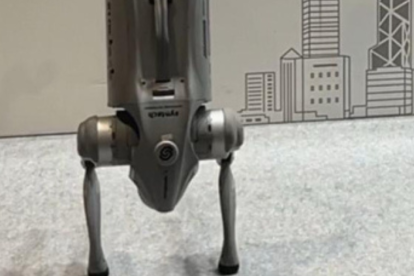 Los cuadrúpedos también son claves para industrias de seguridad y vigilancia.