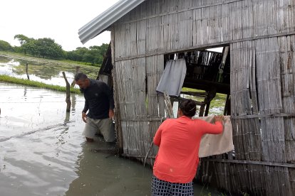 Una vivienda de madera y caña se derrumbó en una zona de Daule.