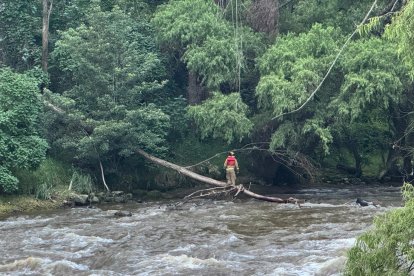 Adolescente, víctima en el Tomebamba.