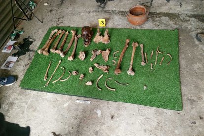 Las piezas óseas encontradas en diferentes operativos del Bloque de Seguridad están siendo analizadas por antropólogos.