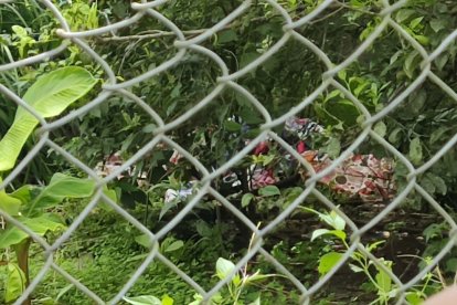 Ambos cuerpos estaban envueltos en sábanas. Los criminales las apuñalaron.