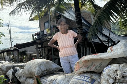 María Esperanza Delgado mira con tristeza cómo el invierno los ha afectado.
