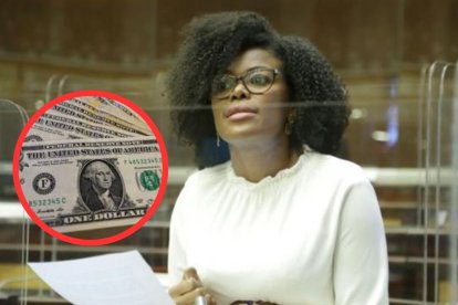 La legisladora dijo no ser vocera económica del proyecto.