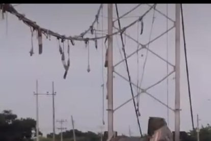 Vehículos habrían caído al río debido al colapso del puente.