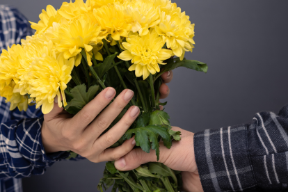 21 de marzo, ¿qué se celebra? Es la ocasión perfecta para regalar flores amarillas.