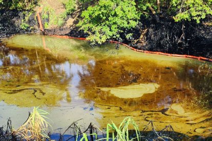 Una gran masa aceitosa y negra ha contaminado varios afluentes.