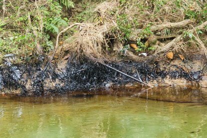 En las orillas de los ríos hay grandes manchas negras.