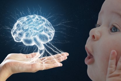 La resonancia magnética funcional ha permitido rastrear cómo funciona la memoria en los bebés.