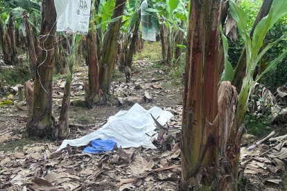 Miguel Gavilánez estaba con su pareja cuando fue asesinado, en la parroquia Caracol.