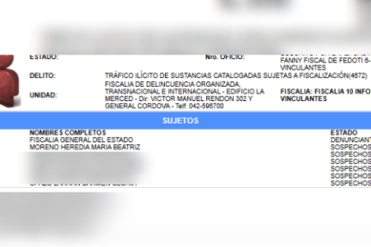 Luisa González mencionó la aparición de María Moreno en registros de la Fiscalía.