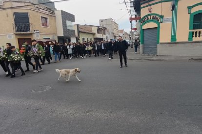 El animal siempre procura ir delante de las personas que llevan al difunto.