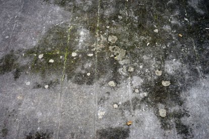 Las marcas que dejaron las balas que le dispararon a una de las víctimas.