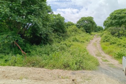 En este camino se encontró el cuerpo.