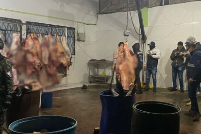 Las autoridades decomisaron poco más de una tonelada de carne.