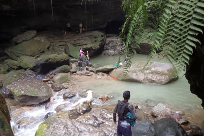 Siempre camina junto a los turistas. Atenta y fiel, no permite que nadie se quede atrás.