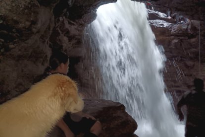 La guía de cuatro patas está pendiente de cada paso de los visitantes. Su instinto protector es parte esencial de la experiencia.