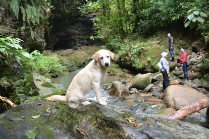 Luna se ha convertido en toda una celebridad.