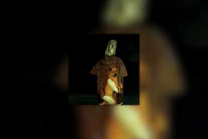 Cristo Redentor en Brasil: así se iluminó por el Día Internacional de los Animales Callejeros.