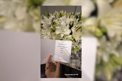 La fotografía que compartió la primera dama en sus historias de Instagram.