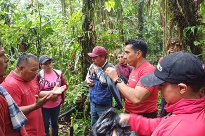Los rescatistas buscaron sin parar en medio de la selva virgen durante seis días.