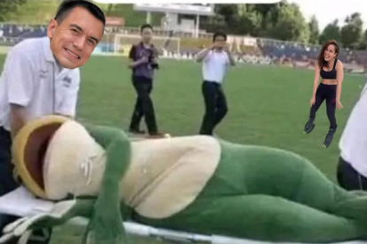 Según investigaciones, la Rana René sería la candidata Luisa González.