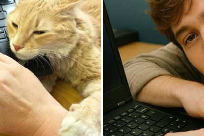 Late, gatico adoptado por Gráficos Nacionales, transformado en humano por la IA.