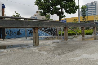 Barandales oxidados en el Skate Park Municipal.