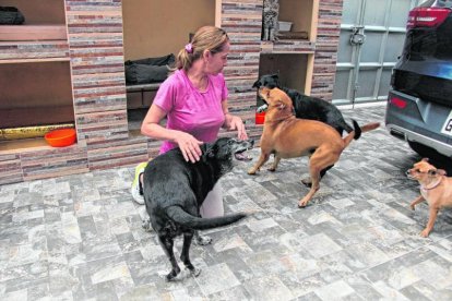 En su refugio también alberga a 12 perros, a quienes les brinda los mismos cuidados y atención.