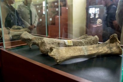 En museos de la ciudad se encuentra vestigios arqueológicos que revelan parte de la historia.
