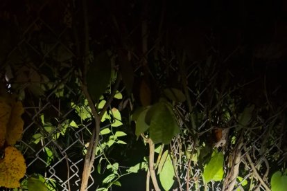 Las mallas por donde escapó el privado de libertad.