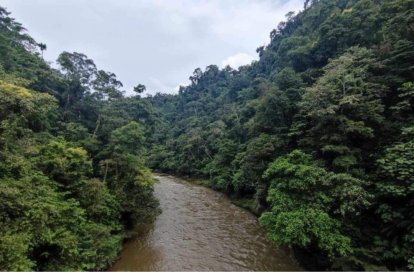 El Día de la Tierra recuerda la importancia de proteger los ecosistemas únicos que alberga Ecuador.