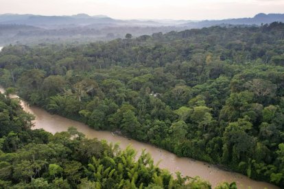 Los bosques amazónicos y los residuos urbanos, entre los focos de atención ambiental en Ecuador.