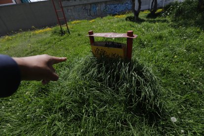 Un cesto metálico para basura está cubierto por monte casi en su totalidad.