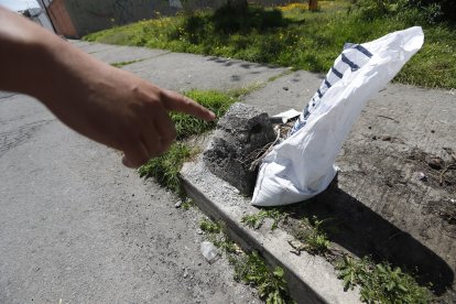 Sobre un parterre se observaban escombros.