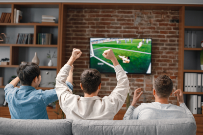 Plataformas legales te permiten disfrutar de tu contenido favorito sin riesgos cibernéticos.