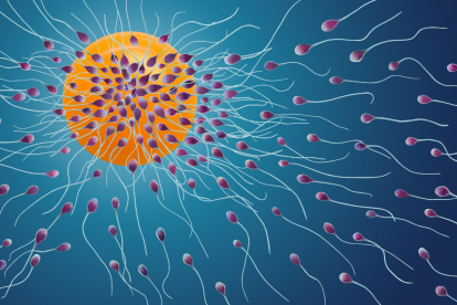 El público se prepara para presenciar la primera carrera de espermatozoides, un evento que mezcla ciencia, espectáculo y conciencia sobre la fertilidad.