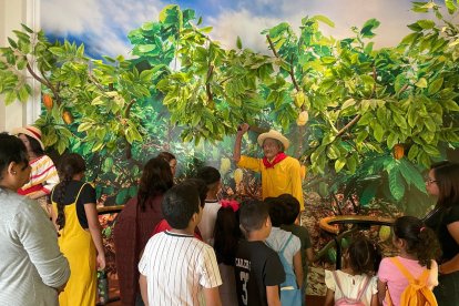 Las actividades son planificadas en forma anual.