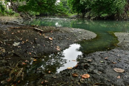 Los metales son solo una parte de la contaminación del estero Salado.