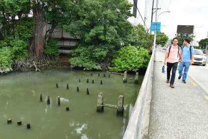 Transeúntes pueden percibir el nauseabundo edor del estero.