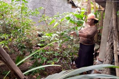 Erudita Bautista ha ayudado a más de dos mil madres a alumbrar a sus hijos.