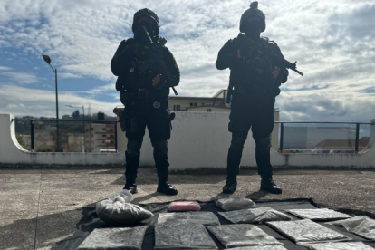 Las sustancias ilícitas estaban escondidas dentro de la camioneta