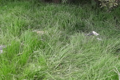 Los hombres tenían también heridas de bala. Fueron hallados en El Troje, sur de Quito.