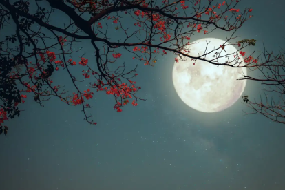 La Luna de las Flores será el fenómeno celestial más esperado de mayo, visible en todo el país si el clima lo permite.