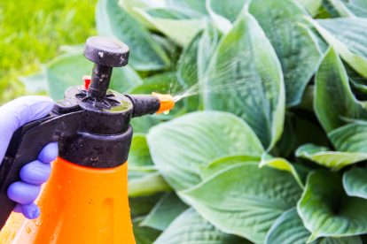 El uso responsable de insecticidas ayuda a proteger los cultivos sin comprometer la salud del ecosistema.