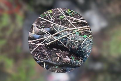 Nuevos cuerpos han sido hallados en Alto Punino.